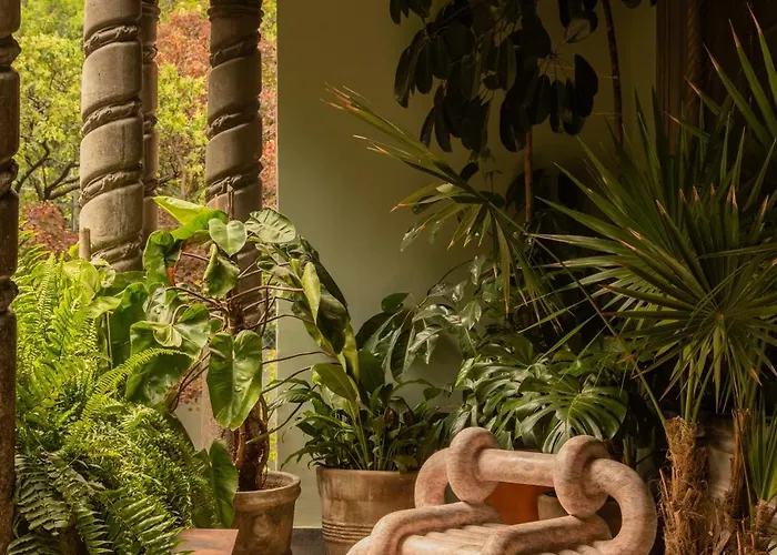 Hotel Maison Lezard Mexico City